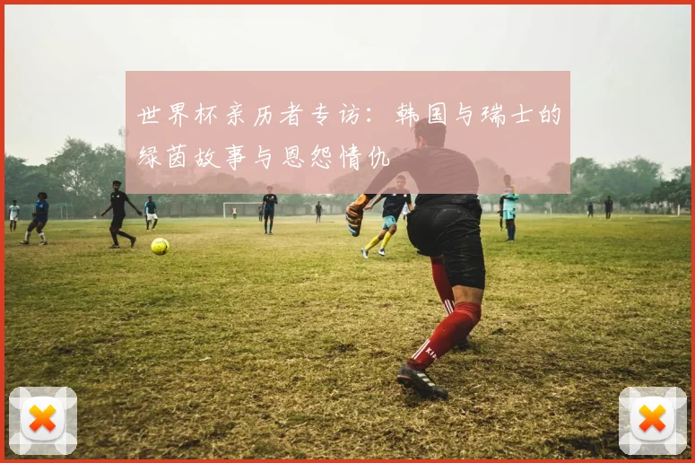世界杯亲历者专访：韩国与瑞士的绿茵故事与恩怨情仇