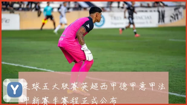 足球五大联赛英超西甲德甲意甲法甲新赛季赛程正式公布